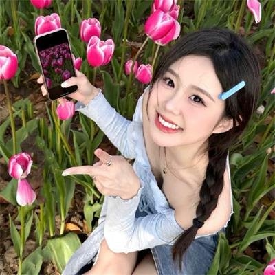 甘蓝仙子